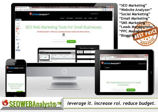 seo web analyst blogger community