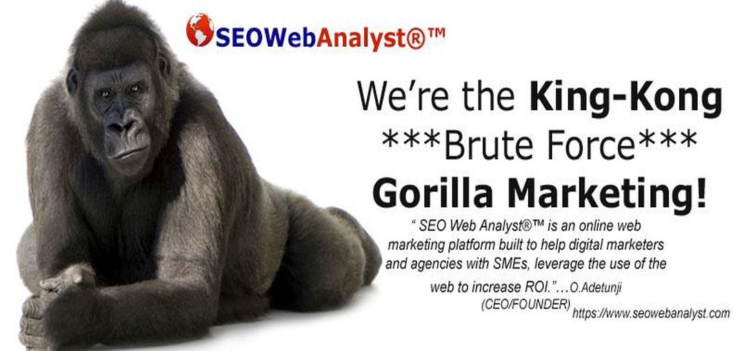 SEO Web Analyst®™ Technology Objectives
